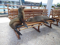 image-620